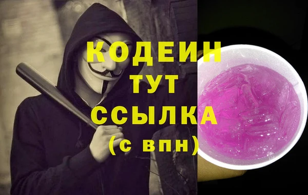 ПСИЛОЦИБИНОВЫЕ ГРИБЫ Пересвет