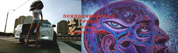 spice Остров
