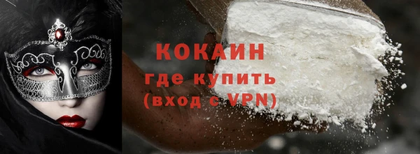 шишки Осинники