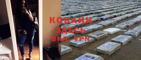 ПСИЛОЦИБИНОВЫЕ ГРИБЫ Пересвет