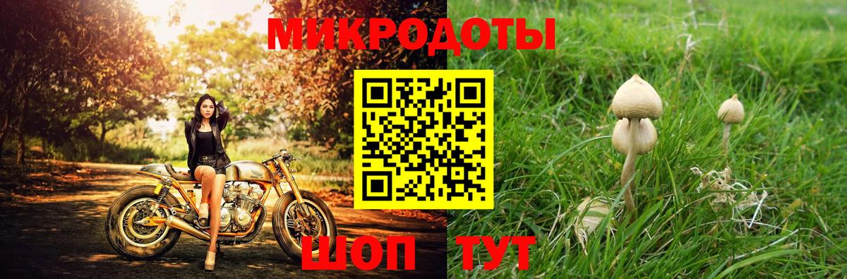 Галлюциногенные грибы GOLDEN TEACHER Конаково