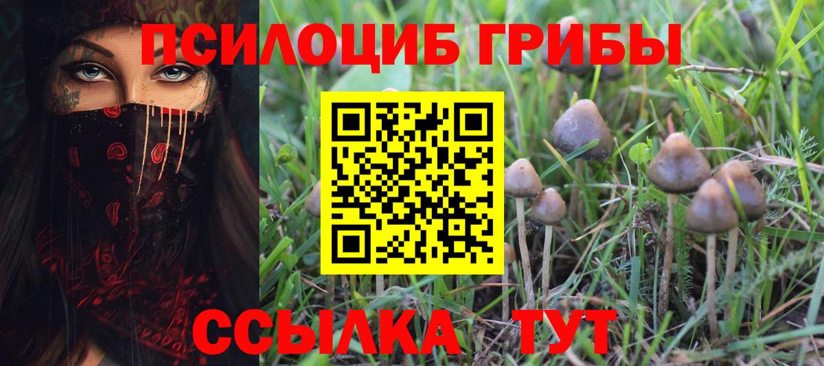 Галлюциногенные грибы Magic Shrooms  дарнет шоп  Галлюциногенные грибы MAGIC MUSHROOMS  Конаково  Вход с VPN 